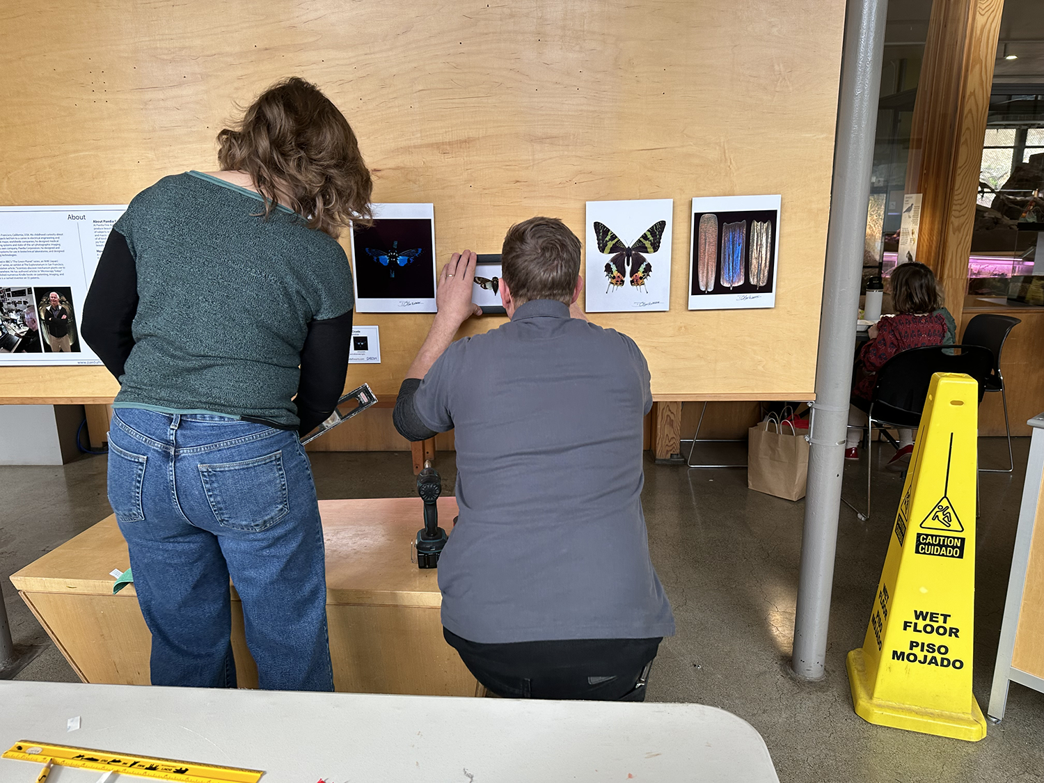 People viewing and discussing butterfly and insect photographs in an exhibit, with one person seated at a table and another standing nearby, and a wet floor caution sign in the foreground.