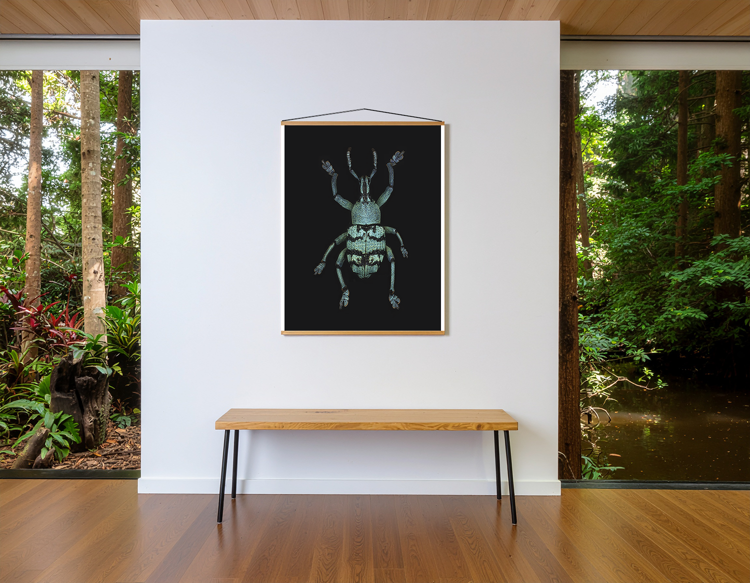 Eupholus chevrolati poster