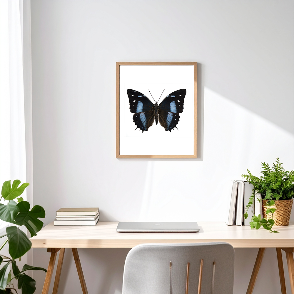 B japetus office desk.png