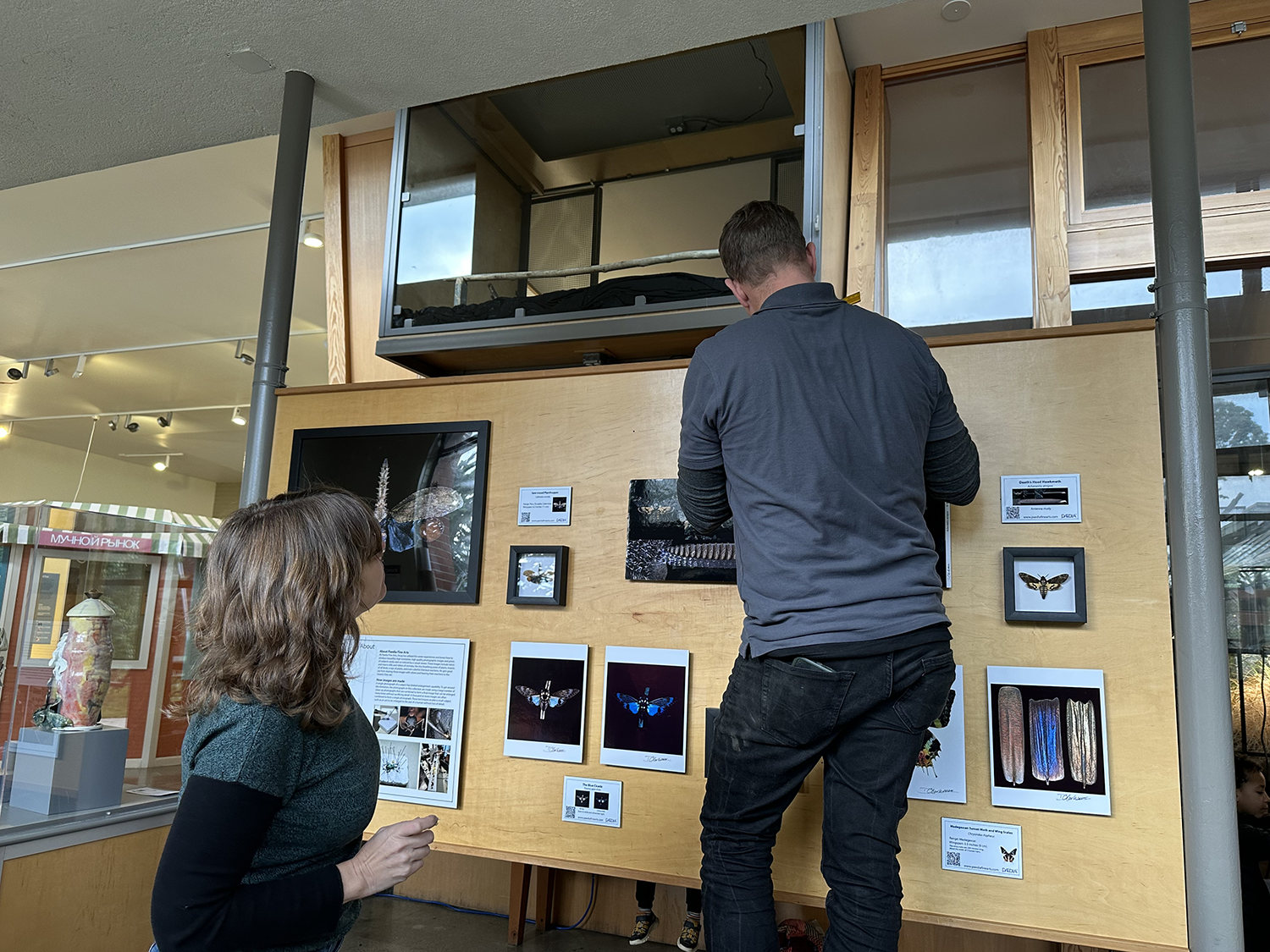 Two people standing in front of a display wall with butterfly photographs and informational posters, in an indoor setting with large windows and another exhibit in the background.