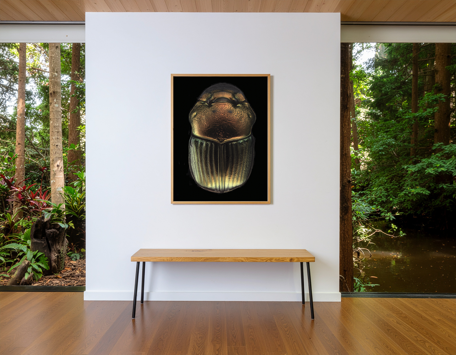 Phanaeus demon print — Paedia Fine Arts