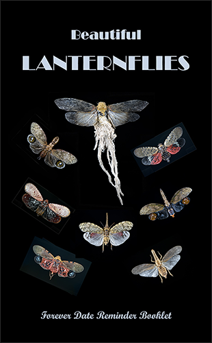 Lantrnflies reminder booklet