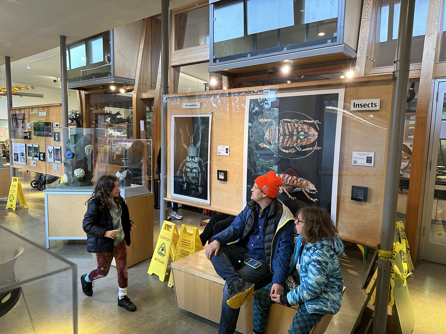 People sitting and walking inside a museum exhibit area with insect displays behind glass panels and signs indicating insects. Two children are sitting, and a young girl is walking nearby.