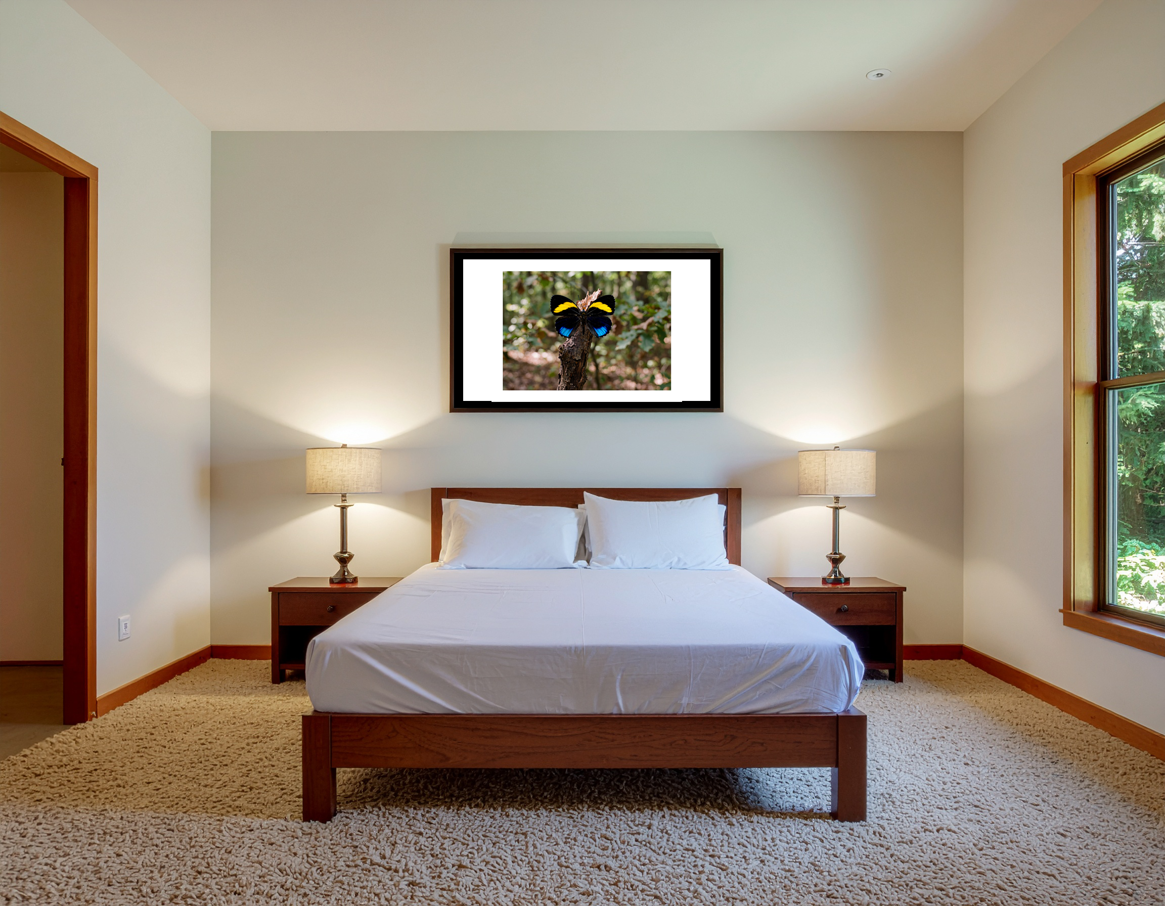 Callicore pastazza topside bedroom2.png