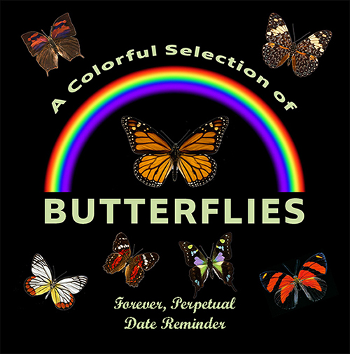 Butterfly reminder booklet
