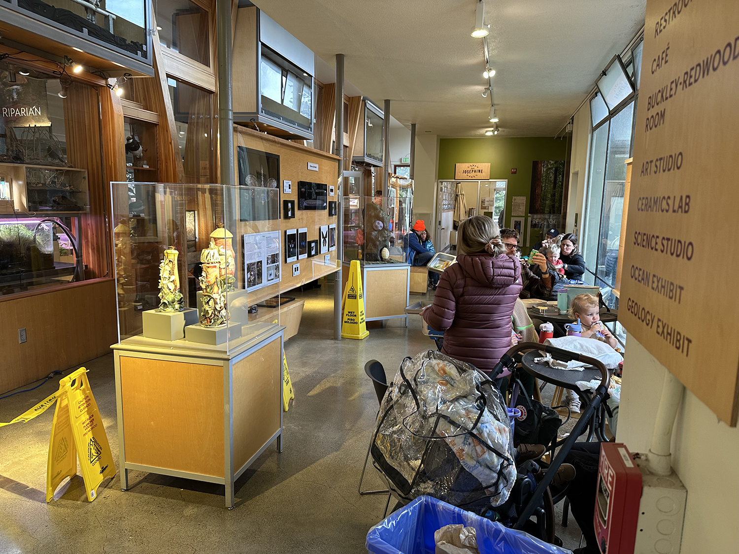 Visitors seated in a cafe inside a museum with display cases and informational boards, some eating and talking, children and adults, with a green wall and large windows in the background.