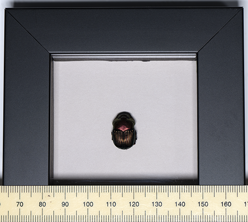 P_demon in frame.png