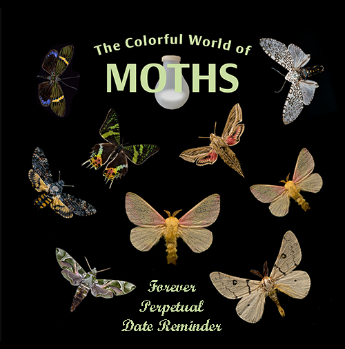 Moths reminder booklet