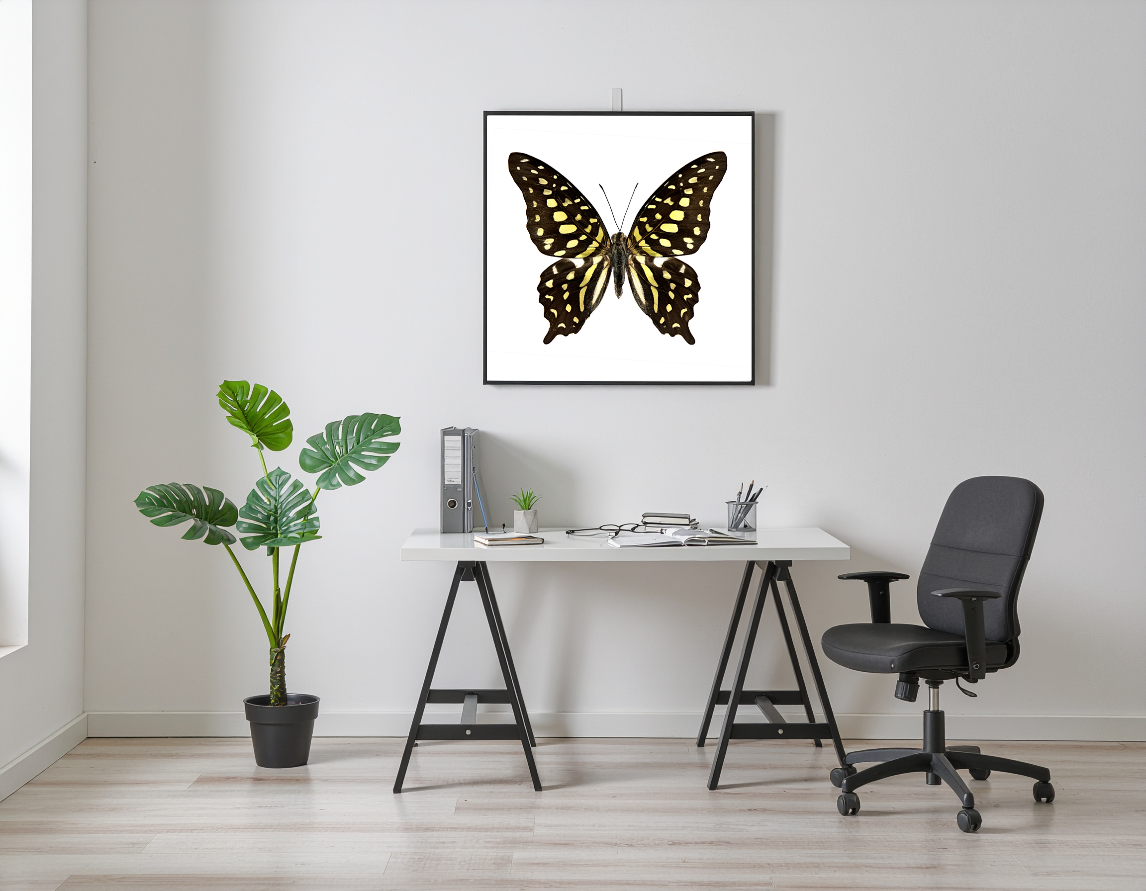 Graphium agamemnon