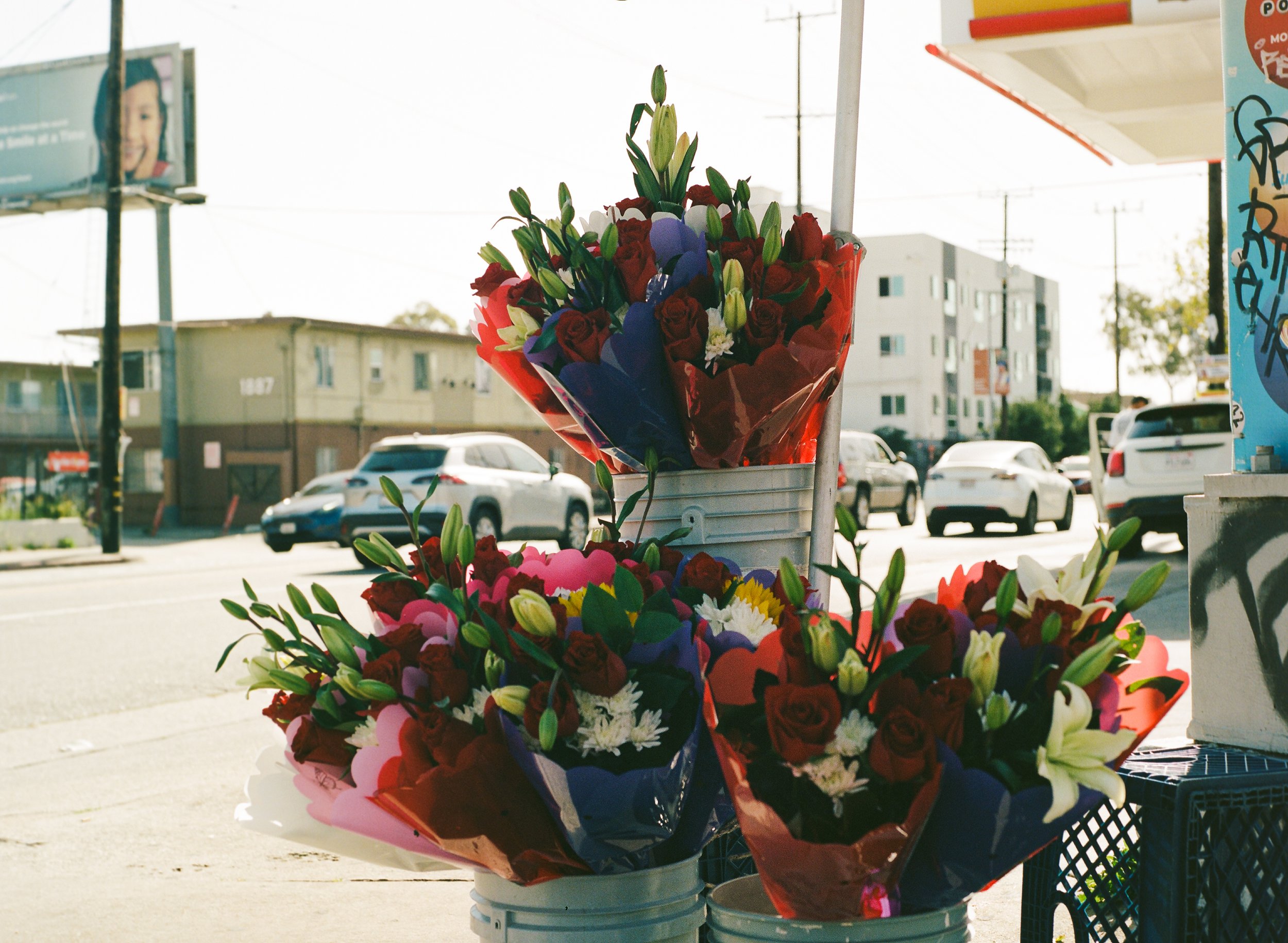  Flores on Normandie , 2026, Medium format film, 16x20 inches
 
 
Resilience on display, if you know where to look along the streets of Los Angeles. 