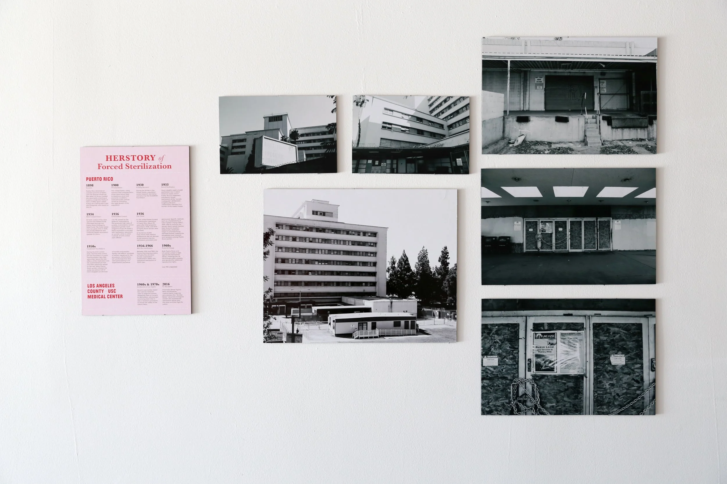 LFP_Summer19_HerChoice_ExhibitDocumentation_0022_edit.jpg