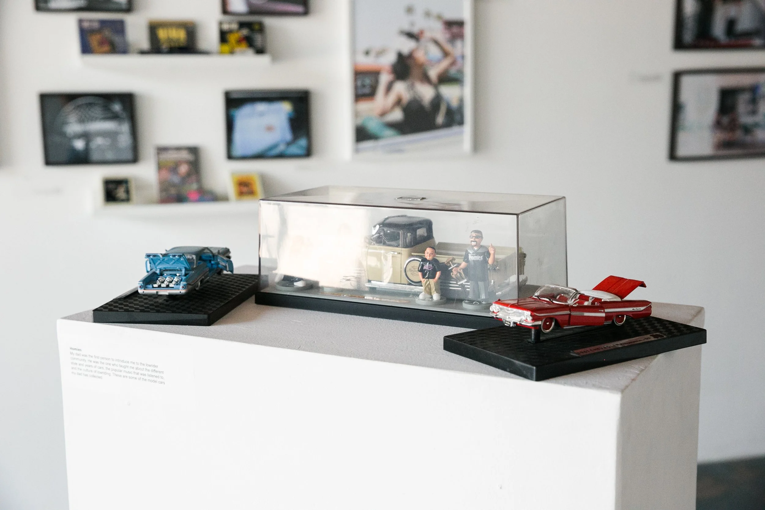 LFP_MetztliGarciaExhibit_HiRes-0026.jpg
