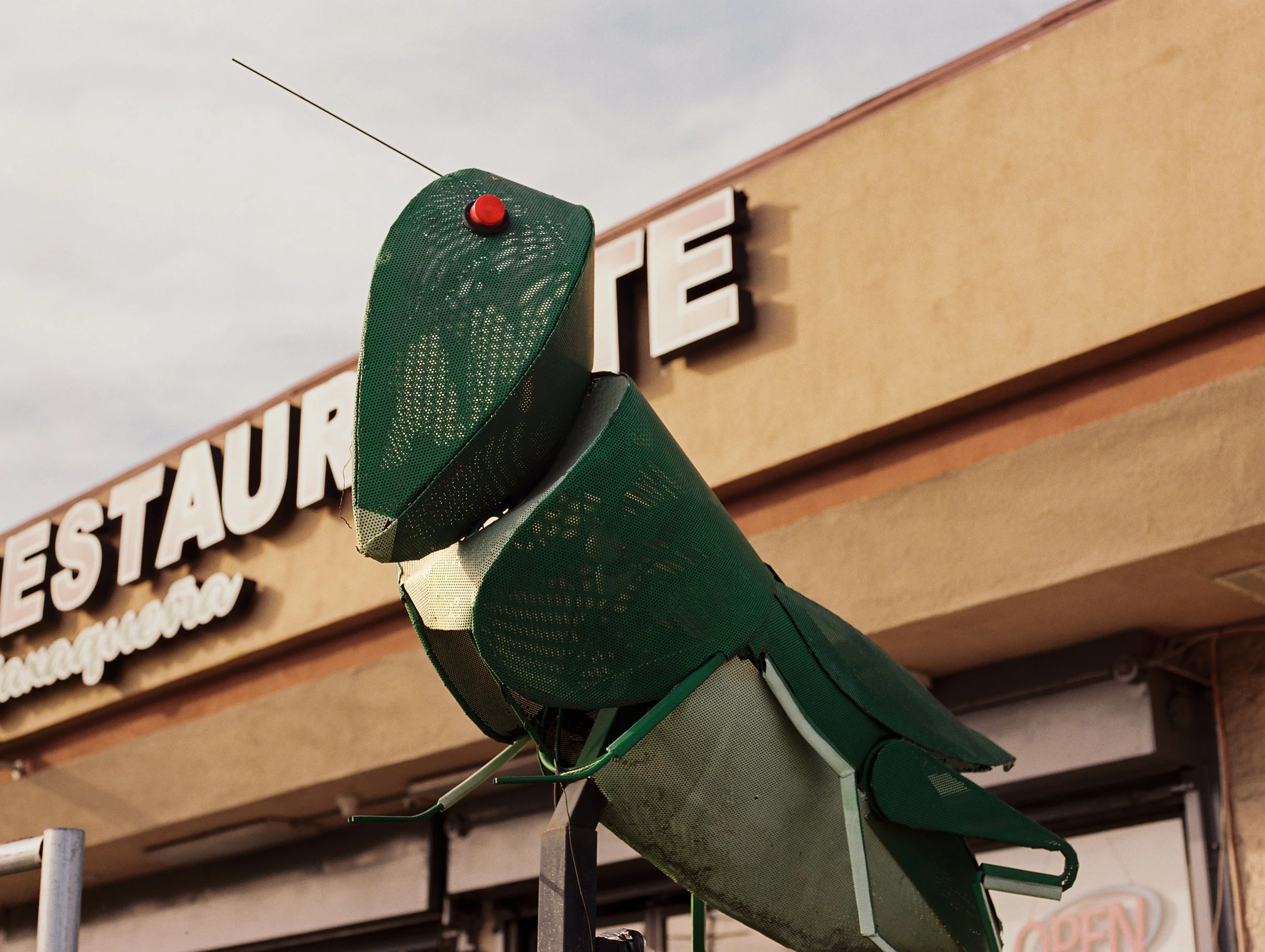  El Chapulín , 2026, Medium format film, 16x20 inches
 
 
El Chapulín Restaurante on Pico boulevard is a familiar sight for locals, where a big chapulín waits to greet arriving customers. 
