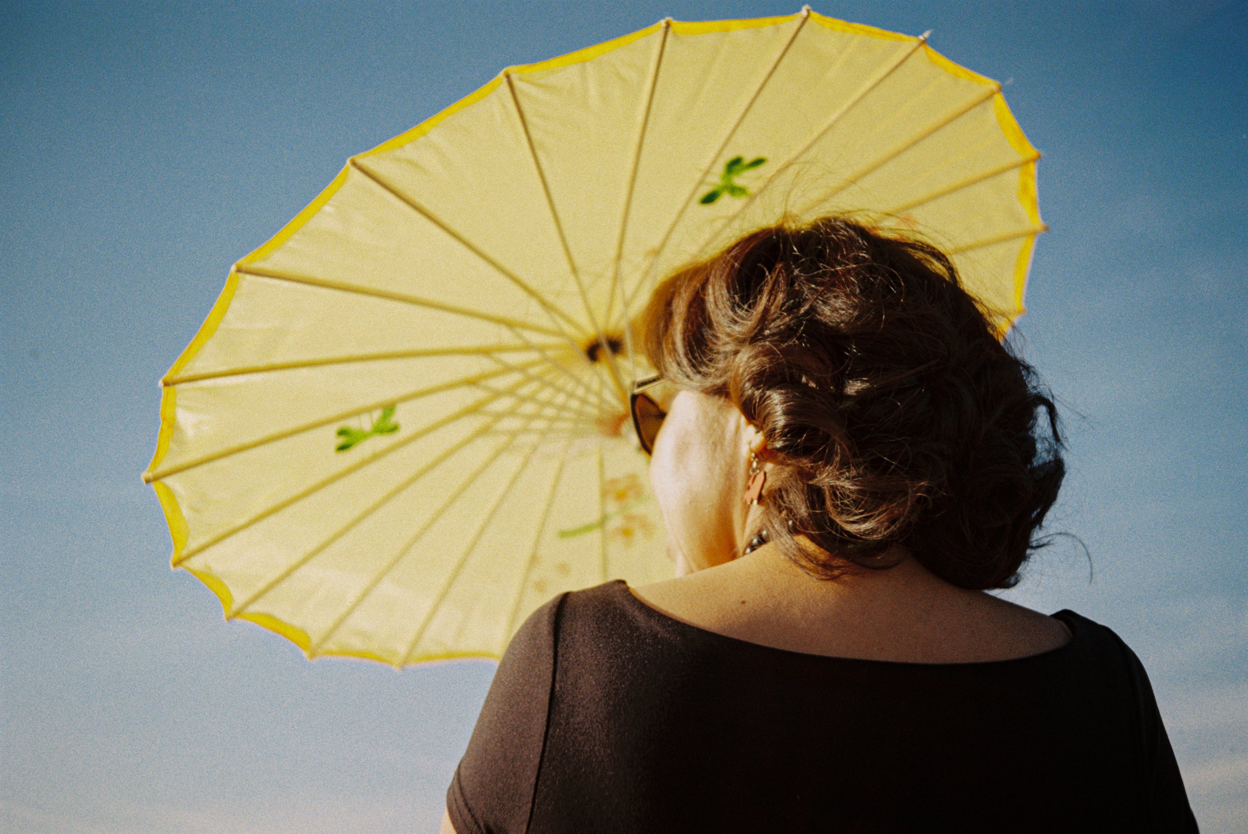  Rays of Warmth , 2026, Medium format film, 16x20 inches