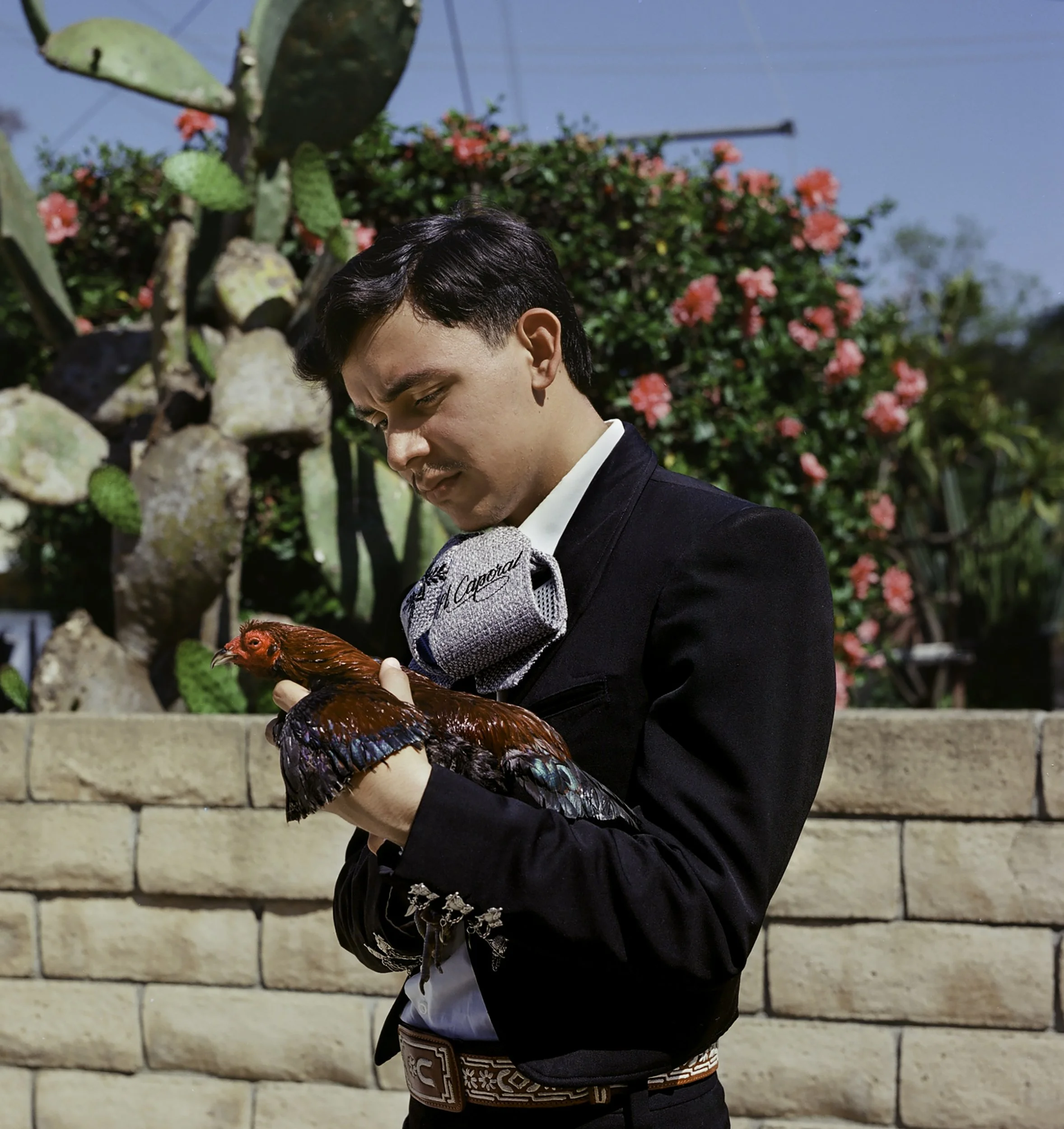 Maximiliano Escobedo Ruvalcaba, 2026
 
16 x 16 inches
 
 
Third-generation mariachi musician. Member of Mariachi Revolución.
 
 
“When I play mariachi I don't just hear notes, I hear and feel pride in the community I represent.”
