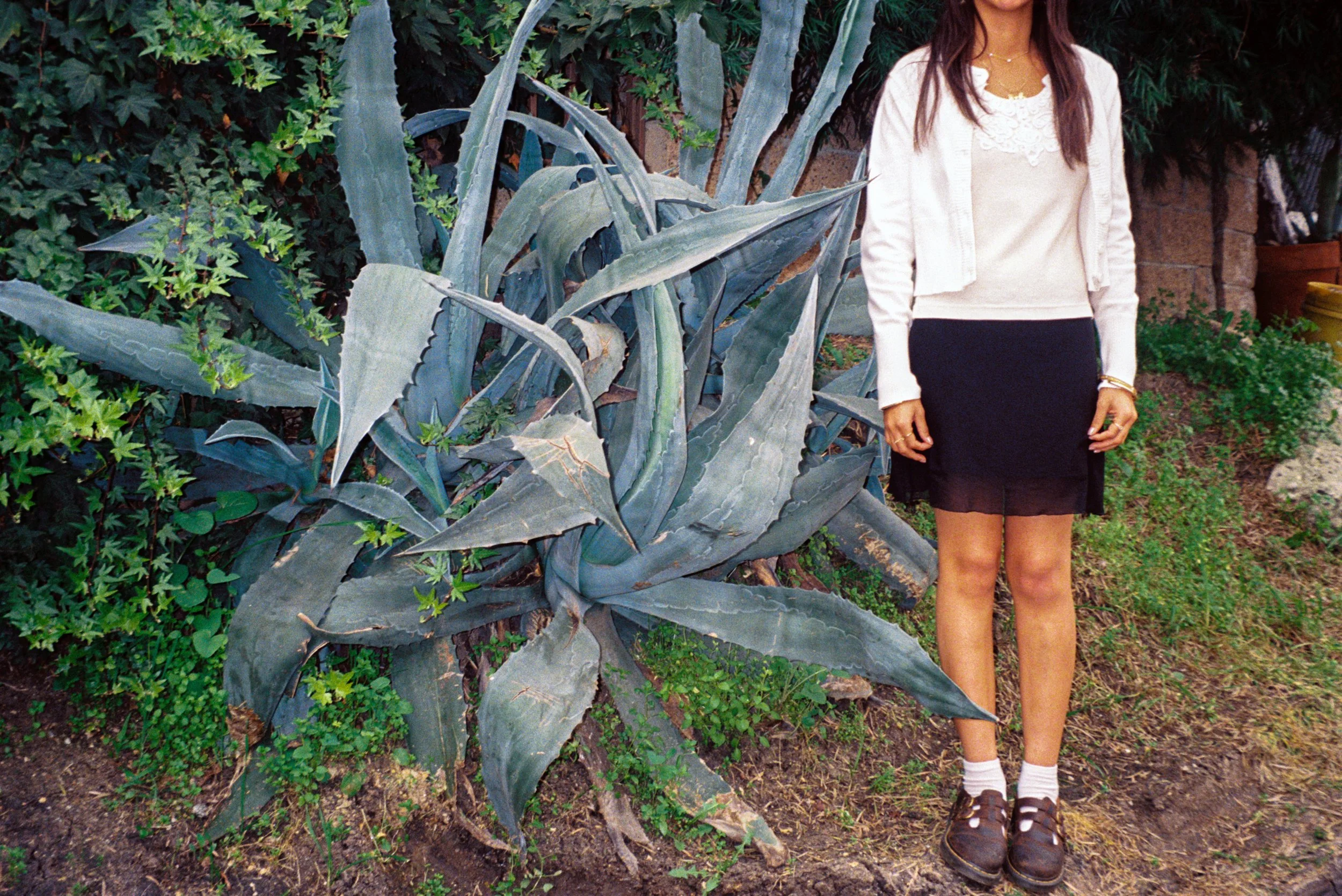  Wander , 2026, 35mm film, 16x20 inches