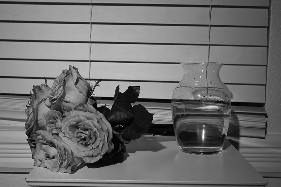  Flowers , 2023, Inkjet print, 16 x 20 inches.
 
 
I am grateful to have grown up with flowers. 
 
 
Flowers that sit still and look pretty. 
 
 
Flowers are accessories. Cut off to not grow anymore. 