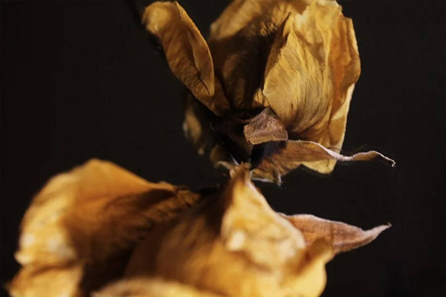  Untitled , 2023, Inkjet print, 19 ¾ x 27 ½ inches.