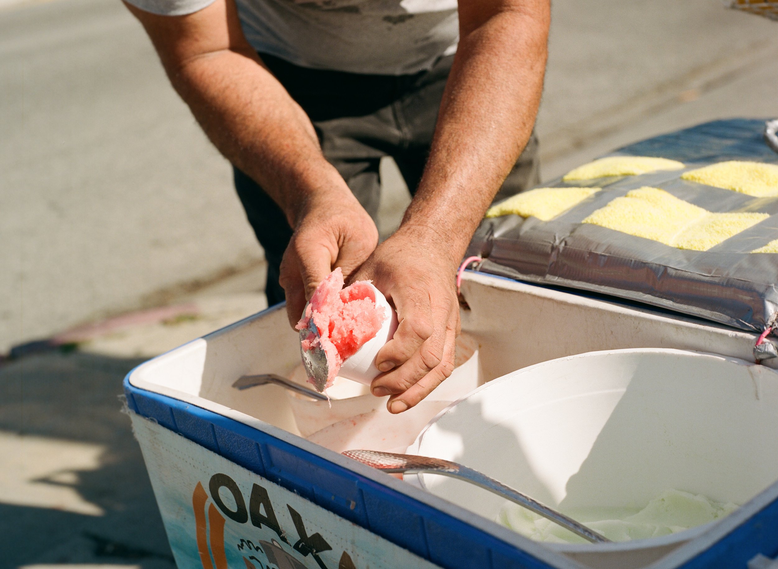  Untitled , 2026, Medium format film, 16x20 inches