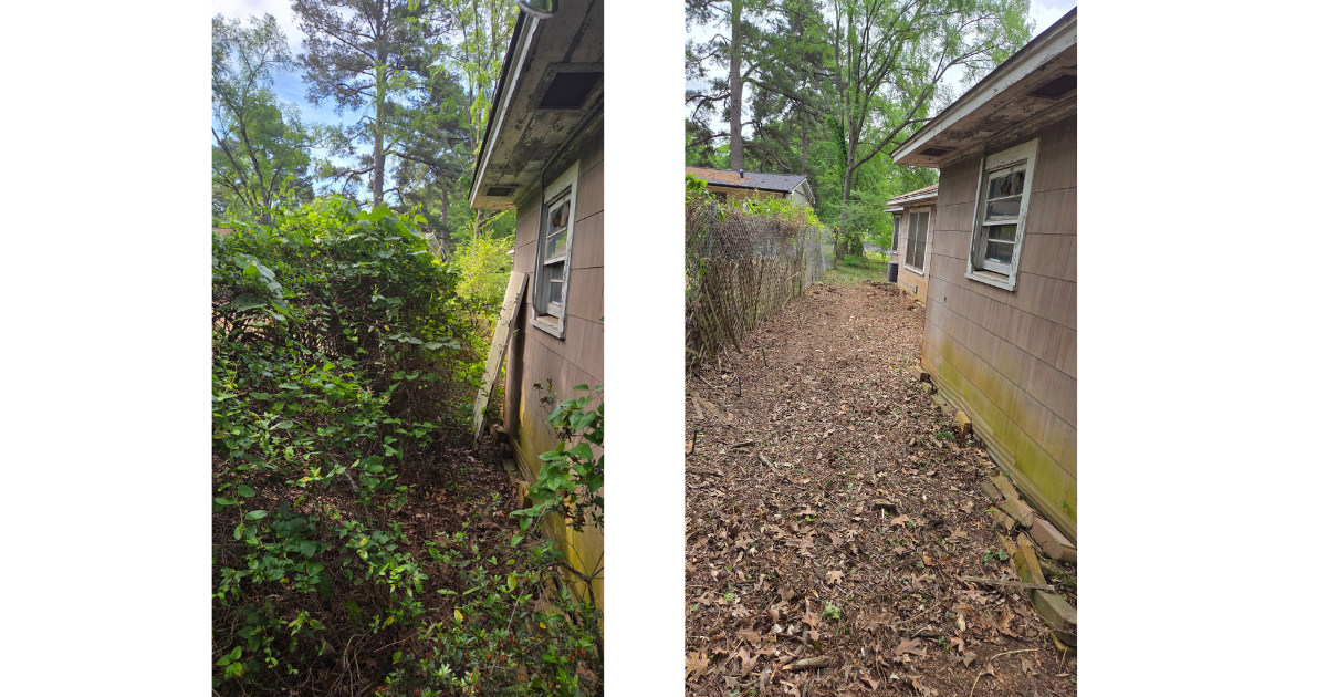 Picture of overgrowth removal and exterior cleanup