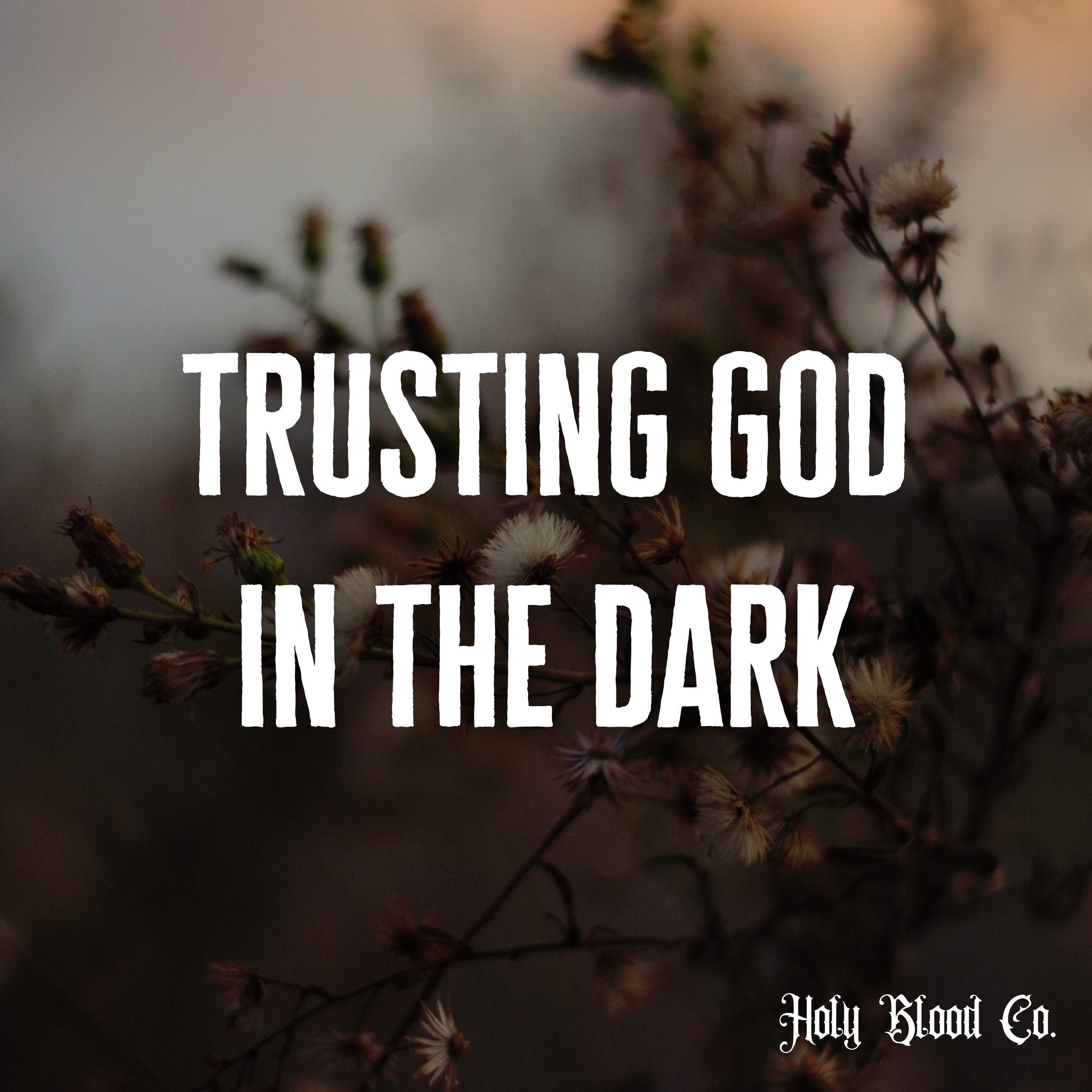 🌾 When Faith Hurts: Trusting God in the Dark
