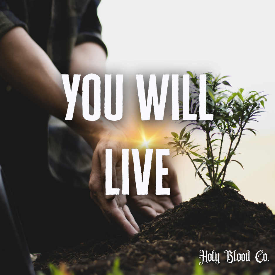 You Will Live ✨