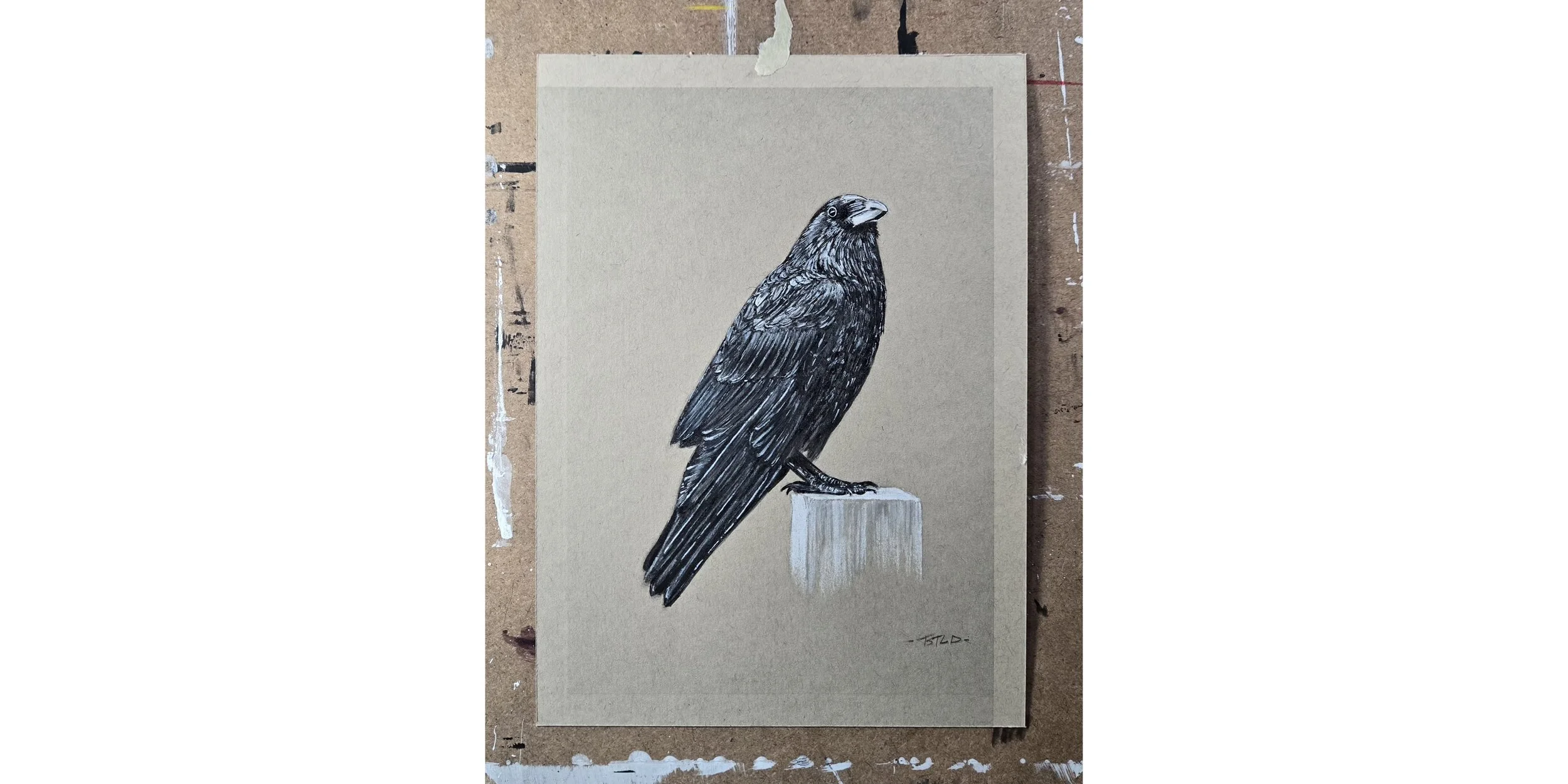 Sketch of  a Crow 4