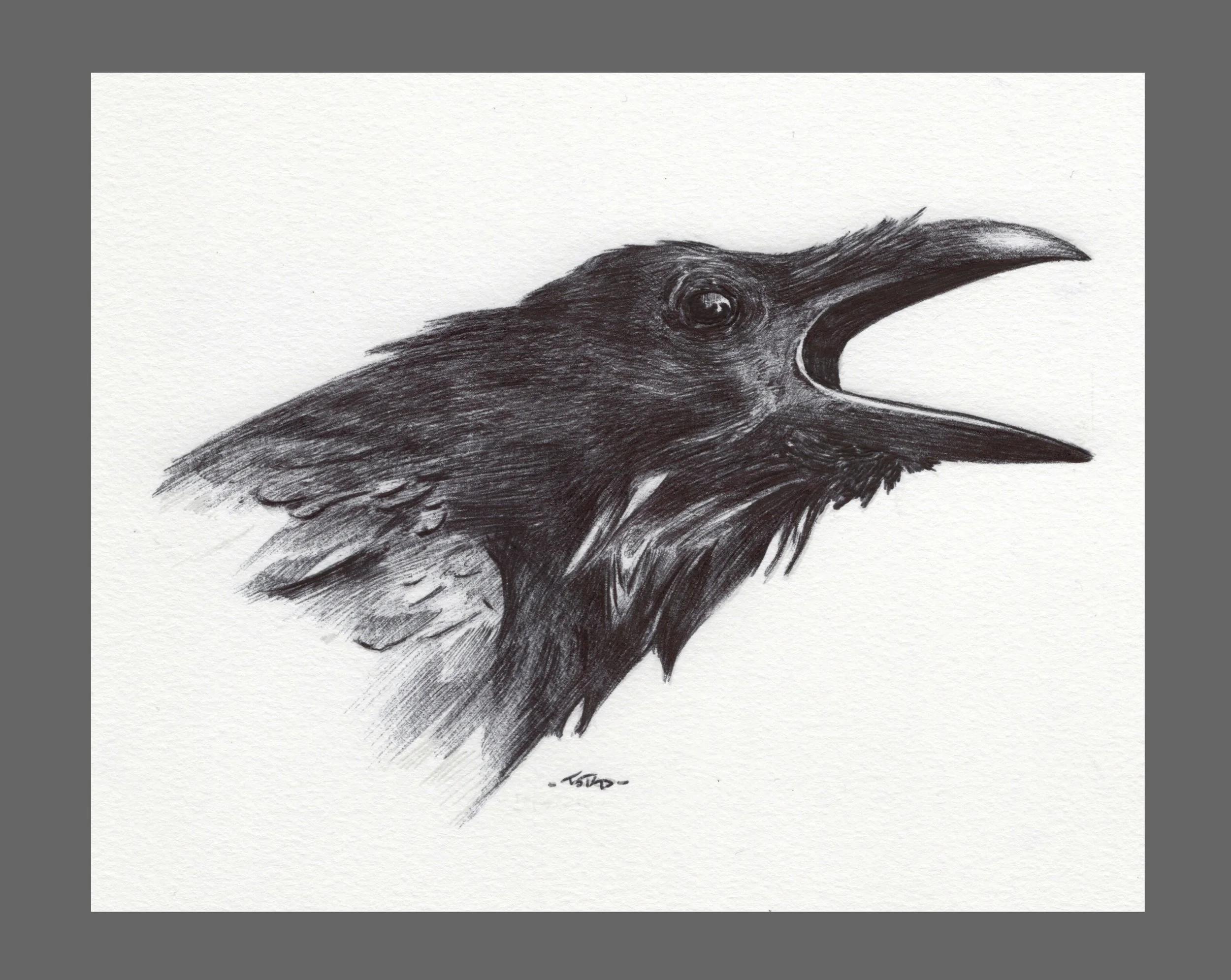Sketch of a Crow 6