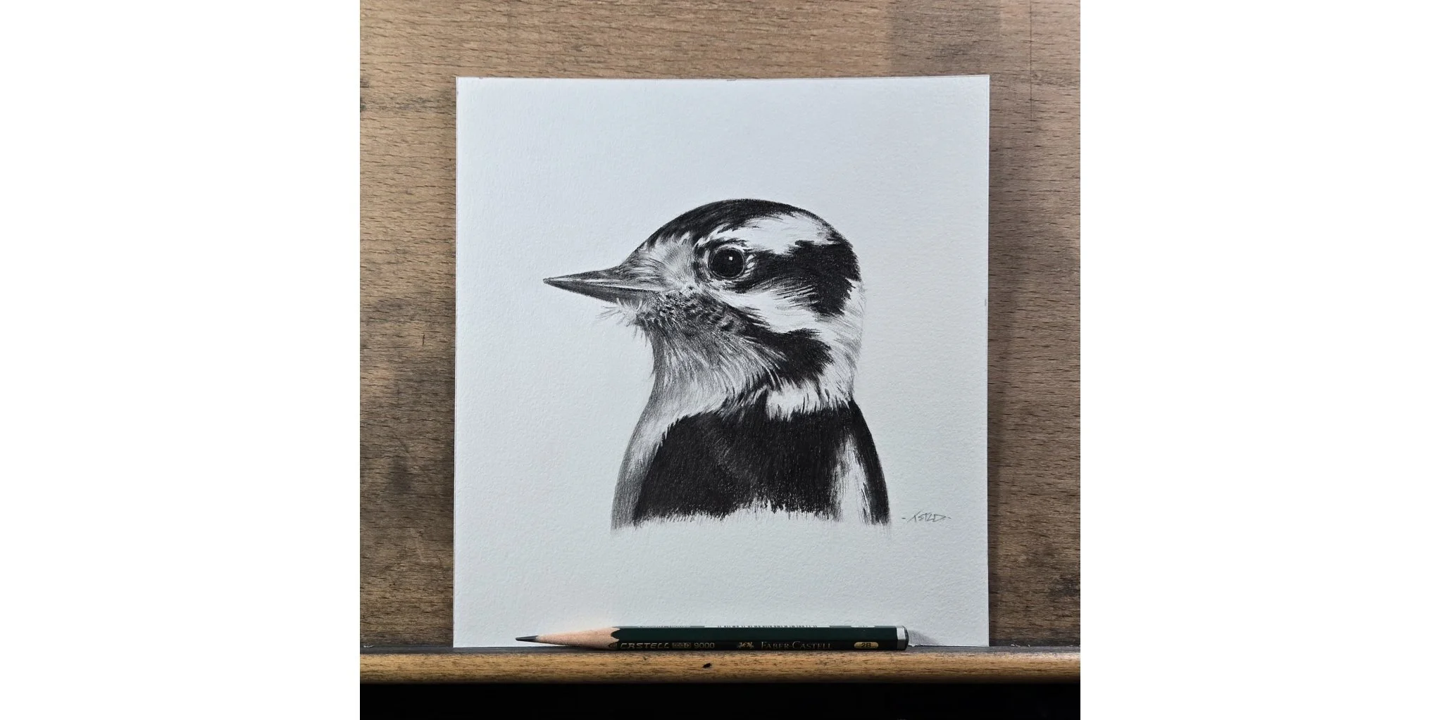 Sketch of a Woodpecker