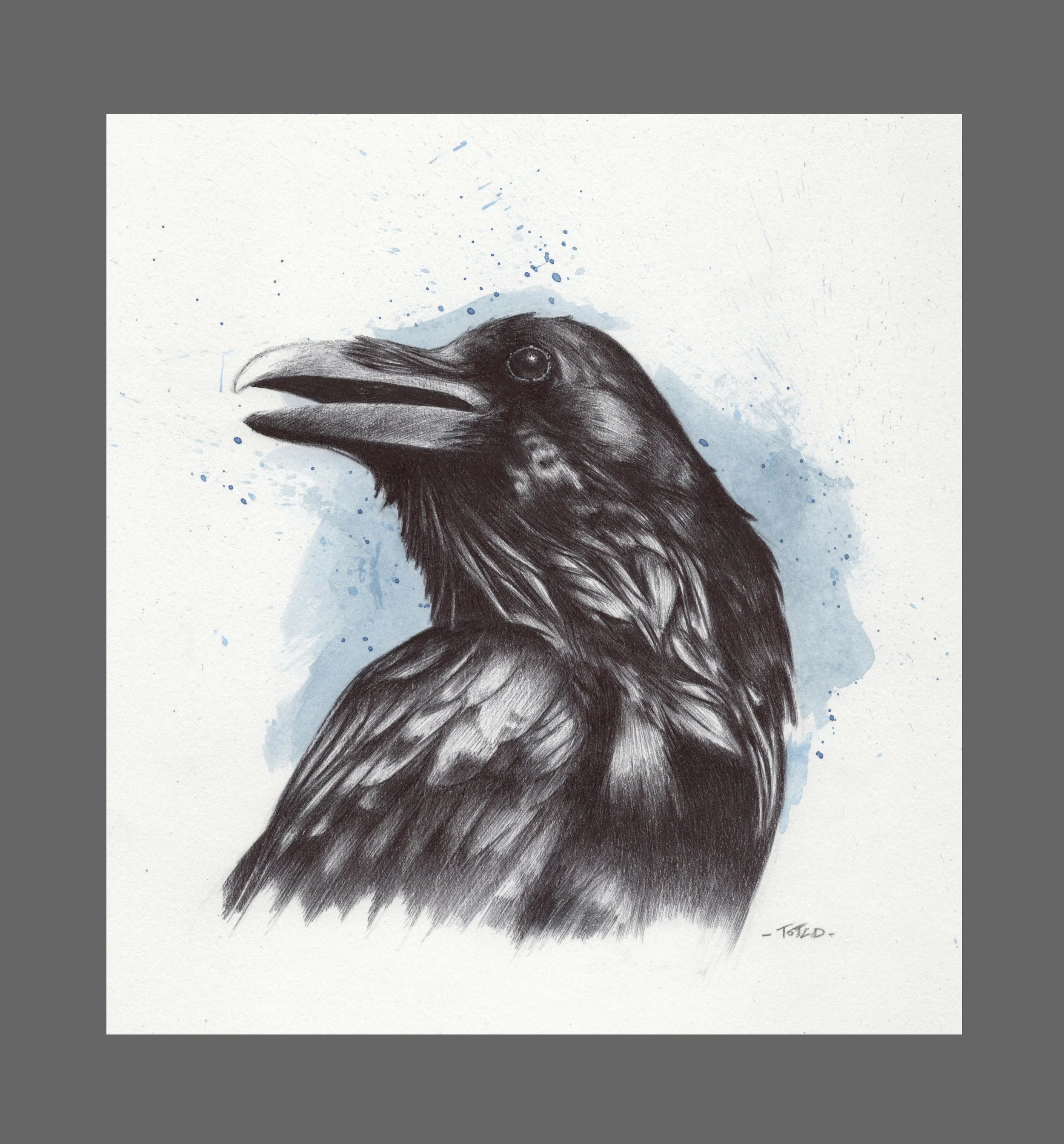 Study of a Raven 2