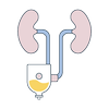 Urologist Geelong | Leading Expert Care at Kardinia Urology