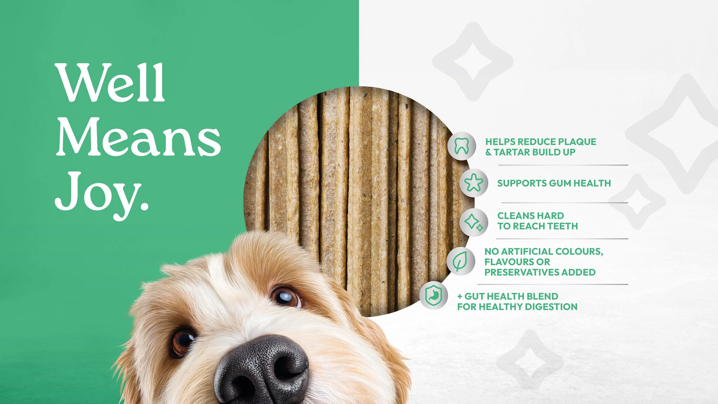 4688 WellJoy - Web Credentials FA_Image 04.jpg