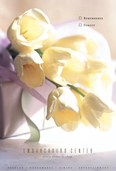 image-asset-3.jpg