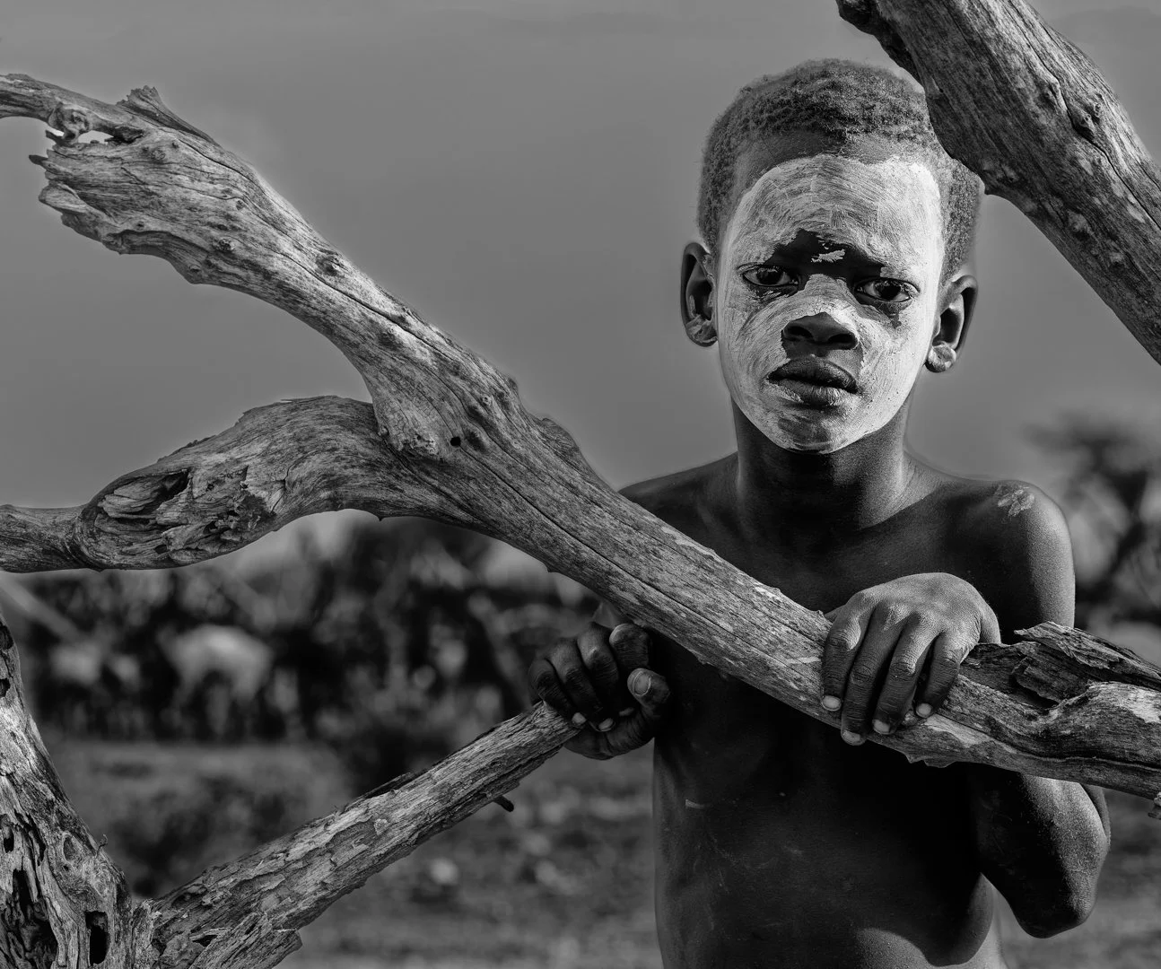 NZ8_3009-DxO_DeepPRIME 3-Editar-Editar-Editar.jpg