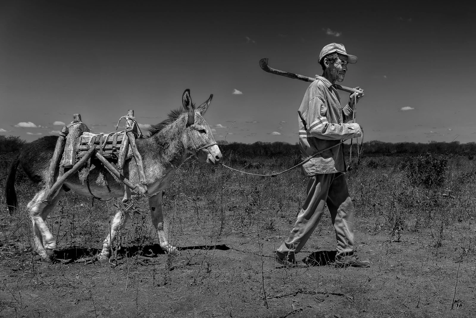 3ME AND THE DONKEY.jpg