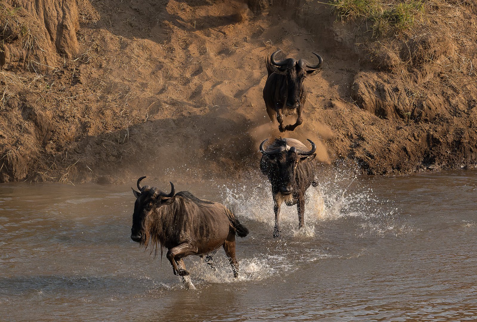 NZ8_6147-TRIO.jpg