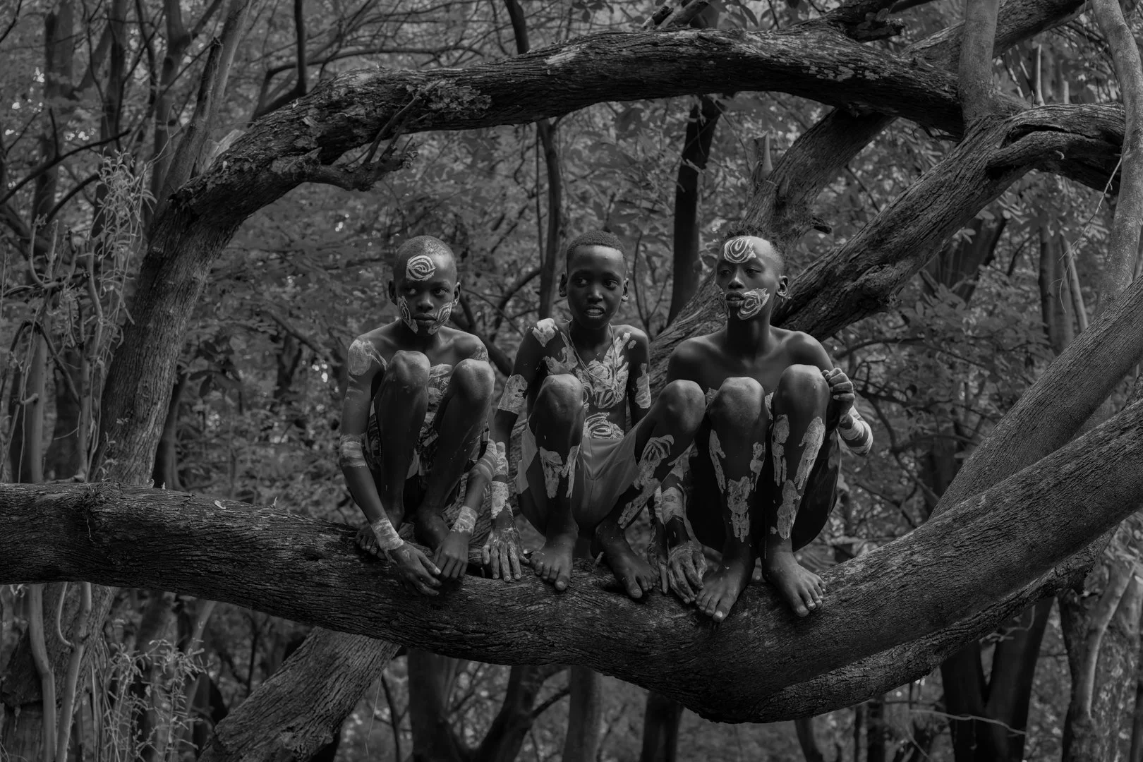 NZ8_4467-DxO_DeepPRIME 3-Editar-Editar-CONCURSOS-2.jpg