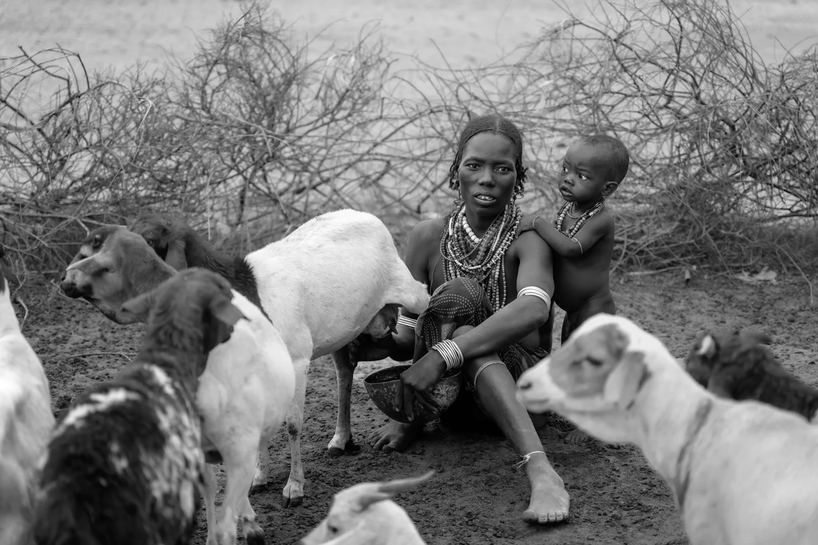 NZ8_1039-DxO_DeepPRIME 3-Editar-Editar-Editar-Editar.jpg