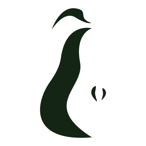 Lori Pearring (Copy)