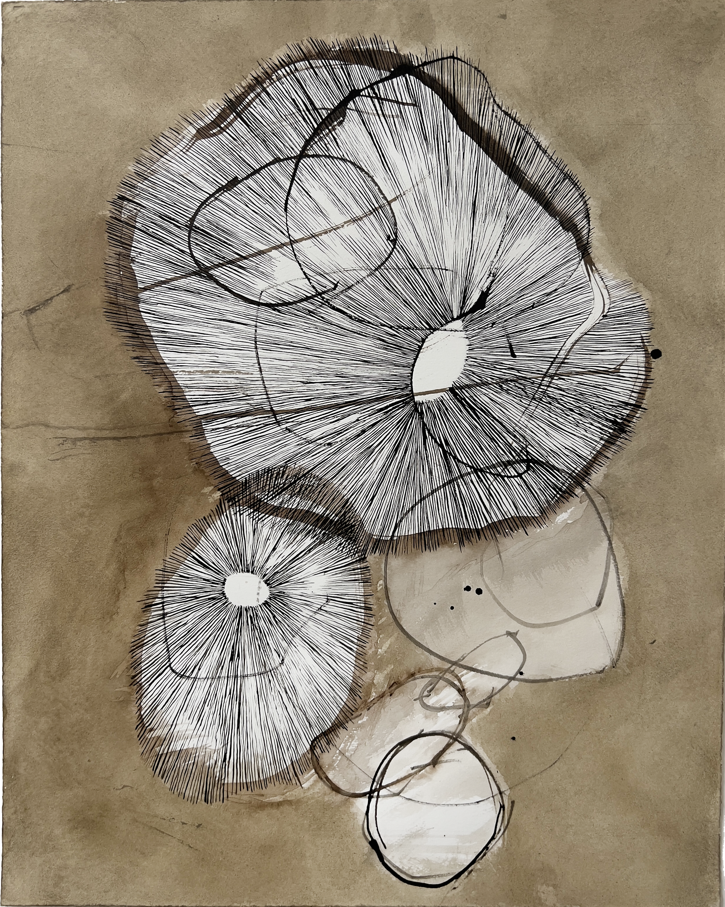 Forms - 18" x 15"