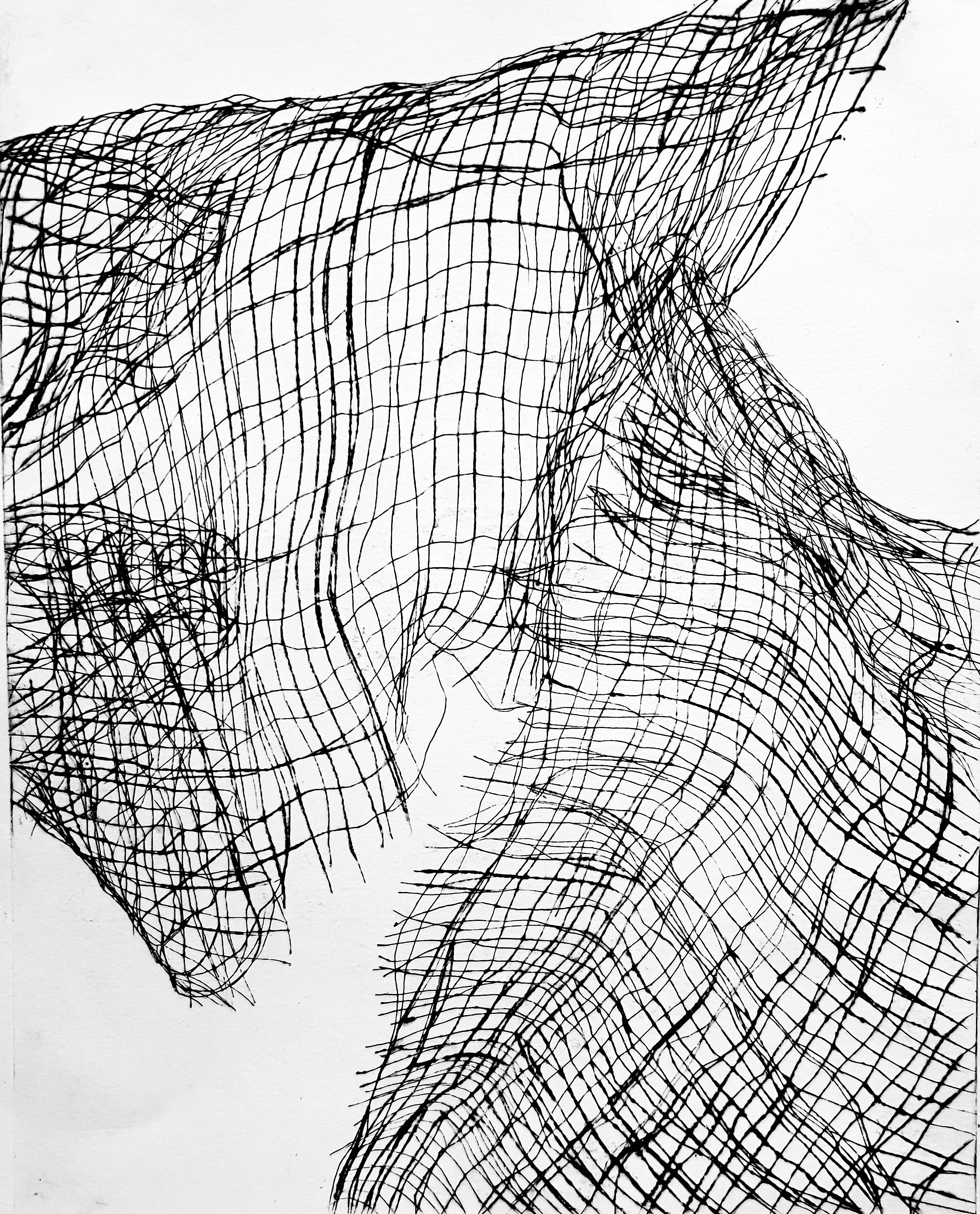 Coming Apart at the Seams - 17" x 15"