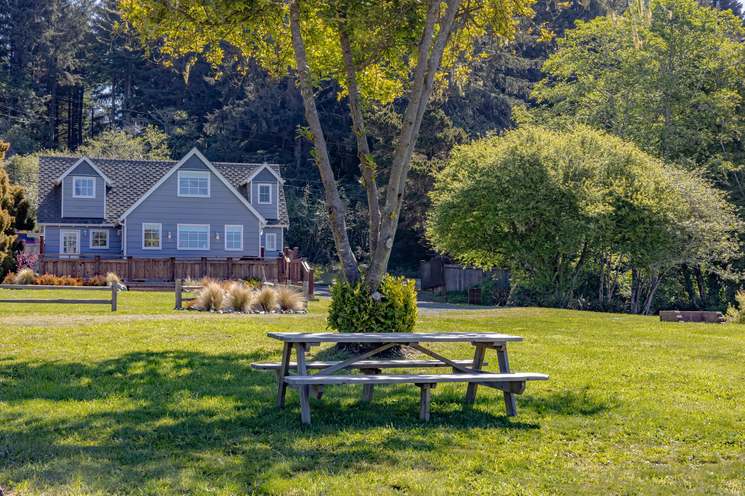 A park with a wooden picnic table in the foreground, a tree behind it, and a blue house with a fenced yard and surrounding greenery in the background.