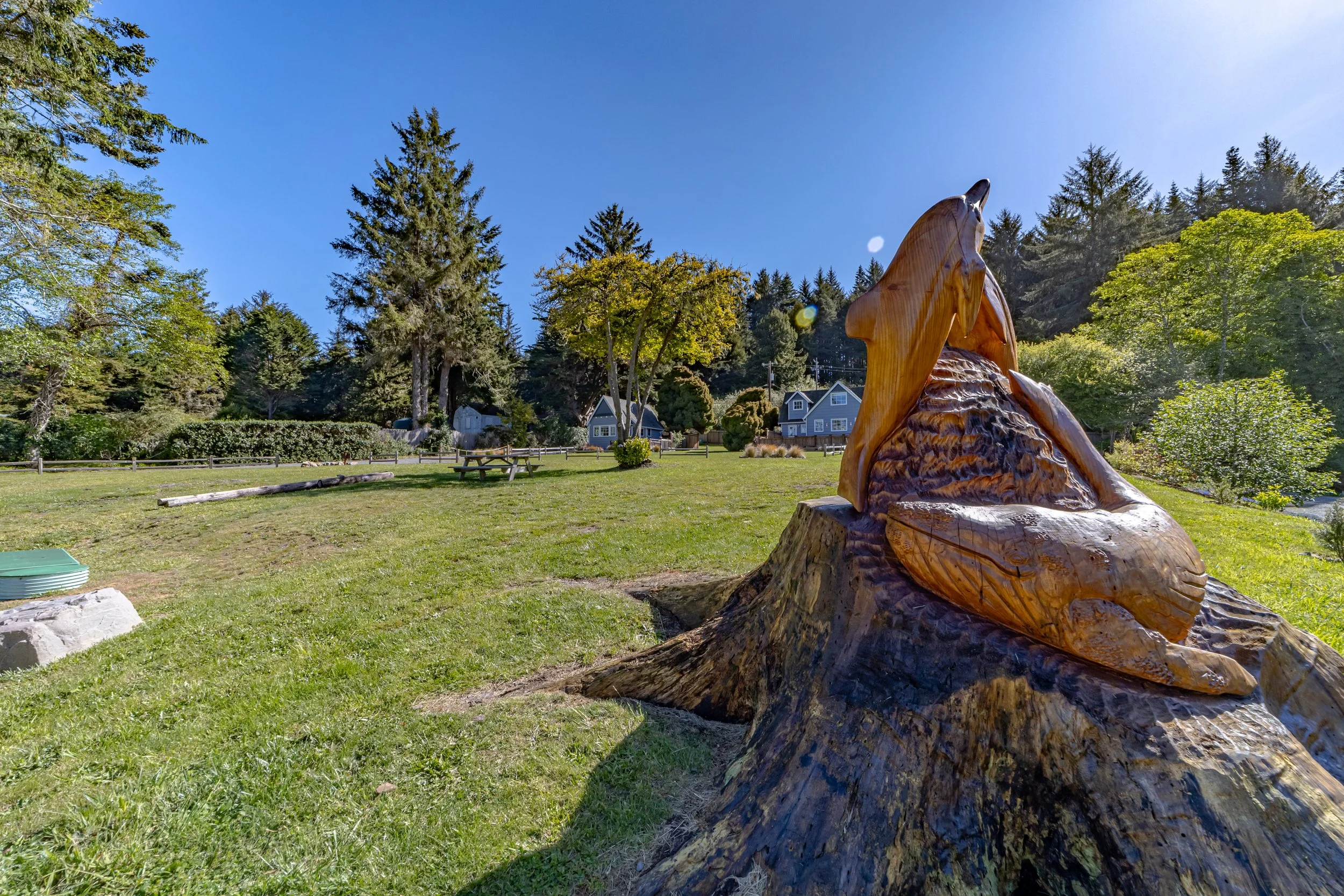 Wooden sculpture of a dog on a tree stump in a grassy park with trees and houses in the background under a clear blue sky.