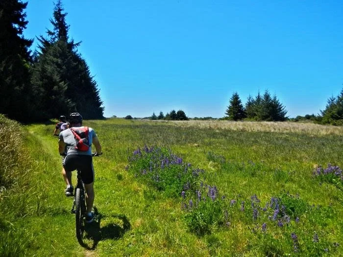 Bicycling in Humboldt County (Image via Visit Redwoods)