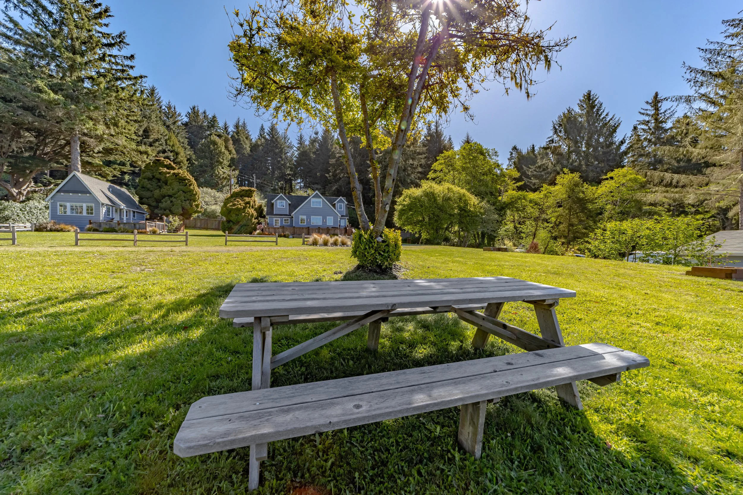 A wooden picnic table beneath a tree in a grassy area, with houses and trees in the background on a sunny day.