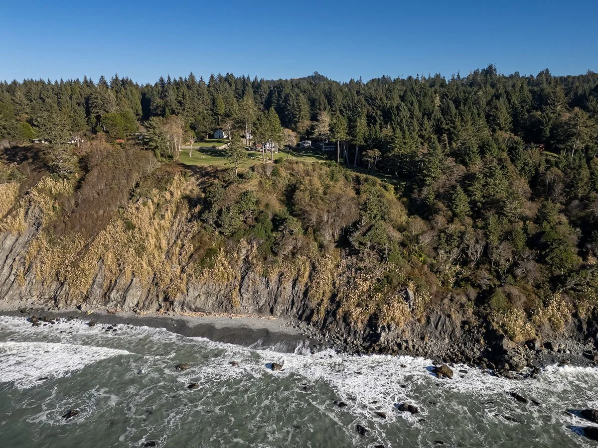 Aerial view of a coastal area with a rocky cliff, waves crashing at the base, and a forested area with some houses on top of the cliff.