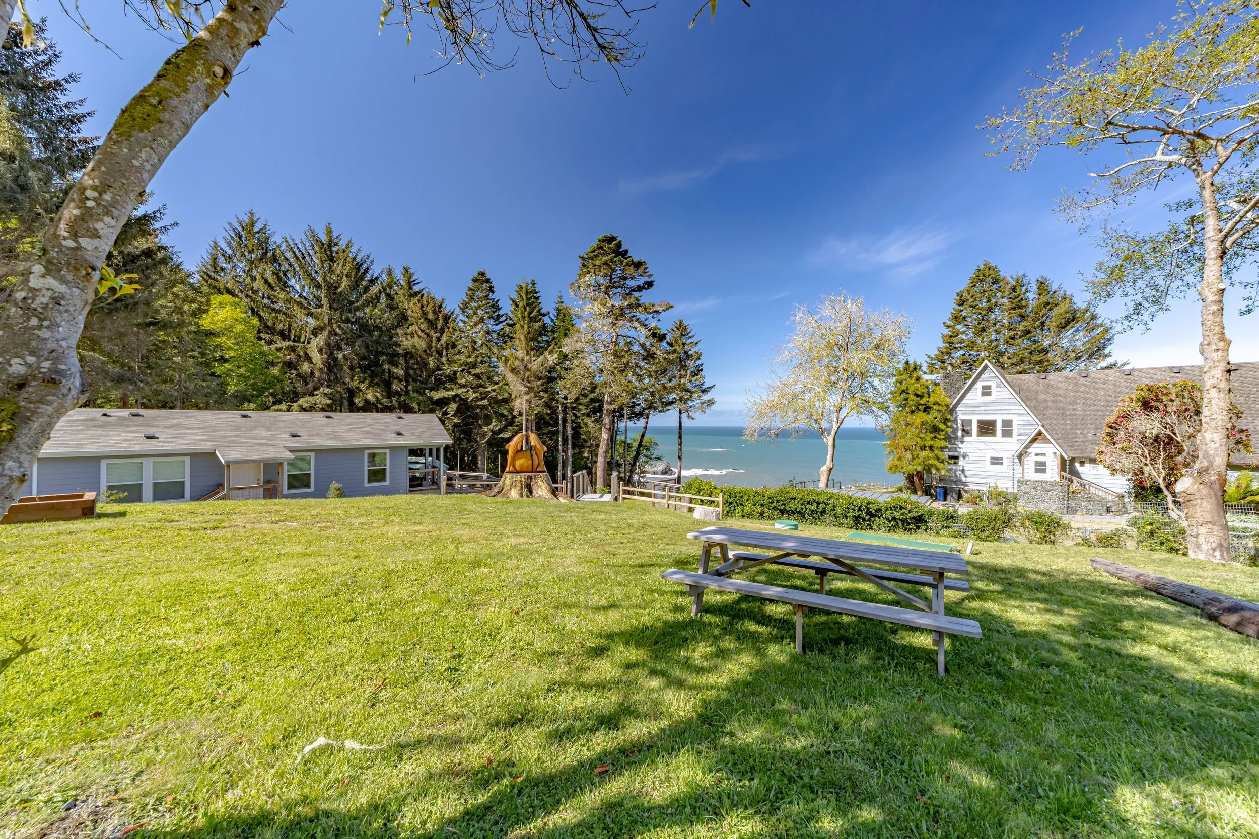 View of a grassy backyard with a picnic table, trees, and houses overlooking the ocean under a clear blue sky.