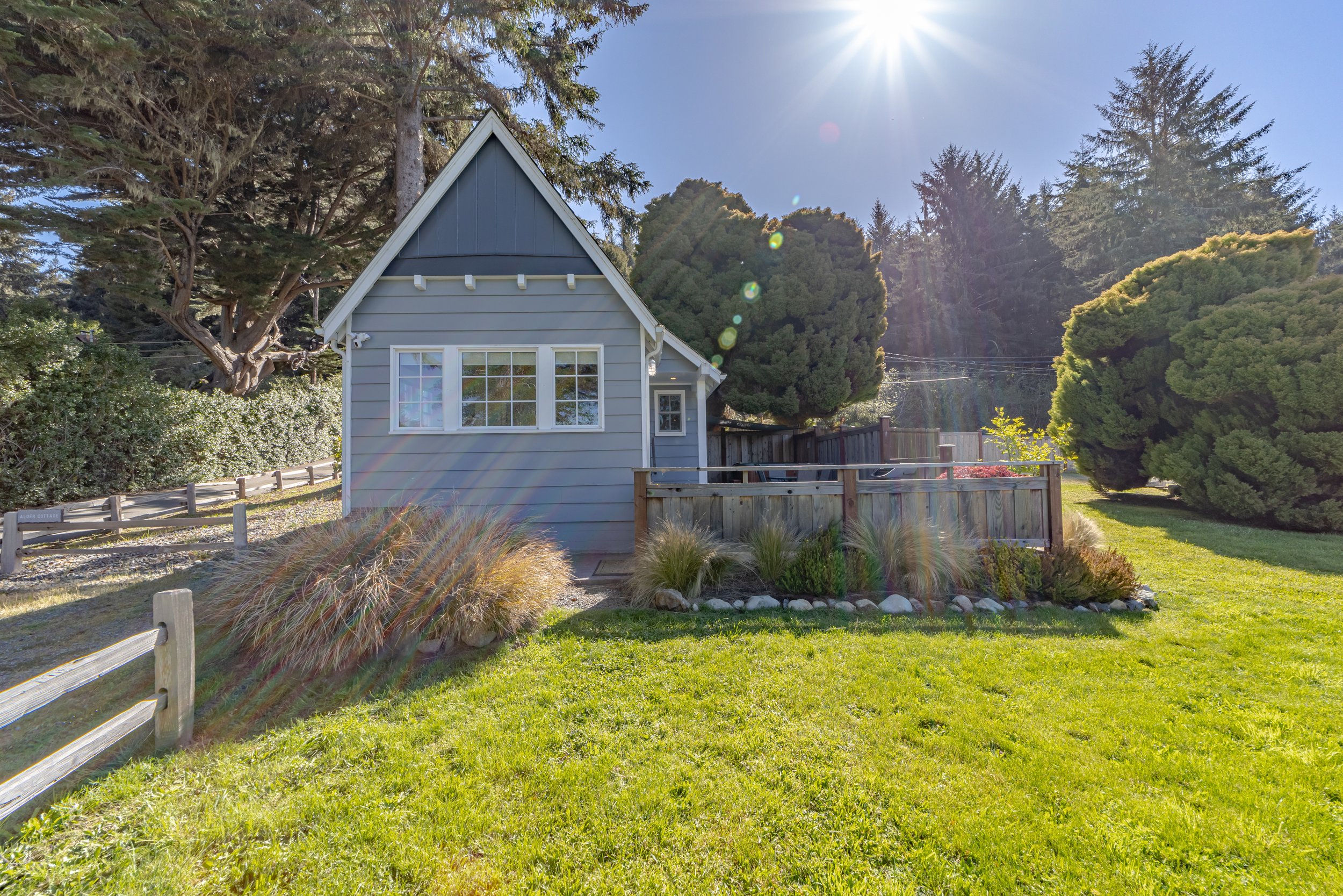 A small blue house with a steep roof and white window panes is set in a lush green yard with manicured grass, ornamental grasses, and bushes. Tall trees and a bright sun are visible in the background, with sunlight creating lens flare effects.