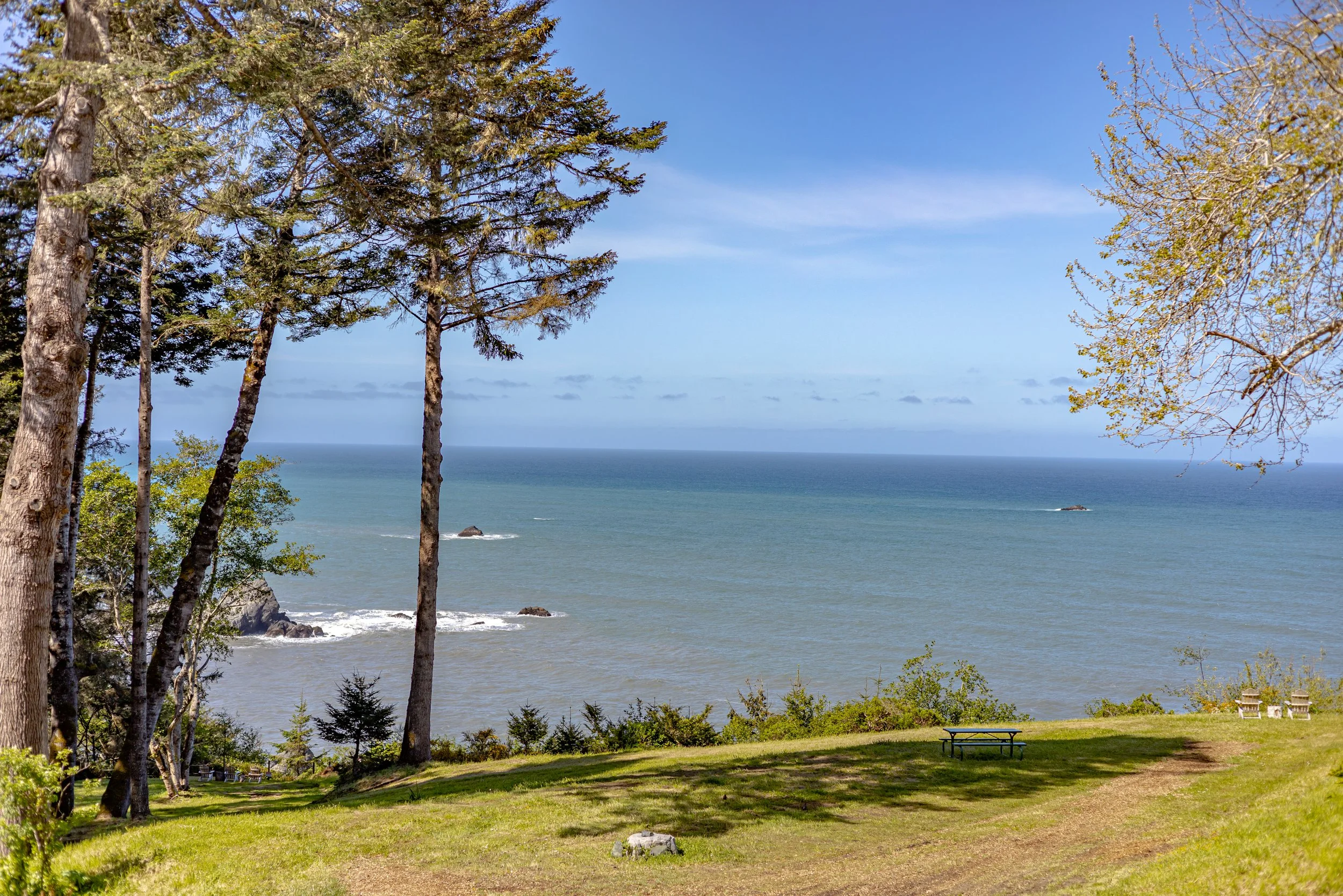 A scenic coastal view with green grass, tall trees, and a calm blue ocean in the background, under a partly cloudy sky.