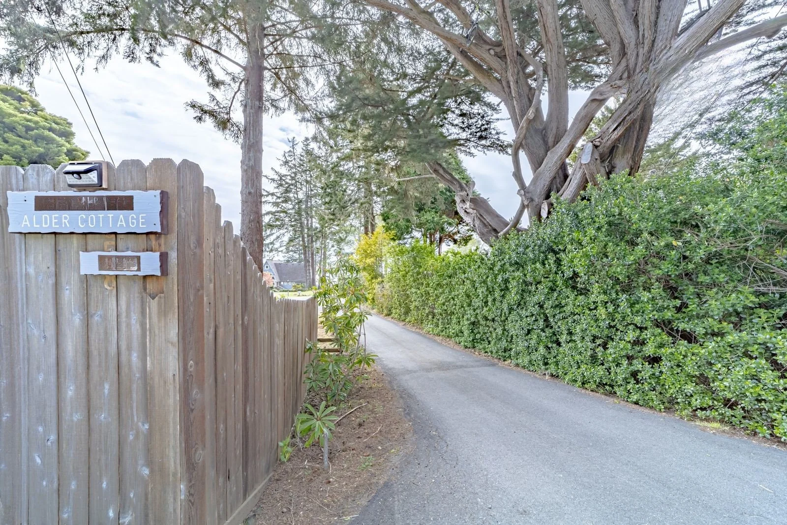 Narrow driveway with wooden fence on the left and dense green bushes on the right, leading to a house in the distance, large trees overhead, and a cloudy sky.